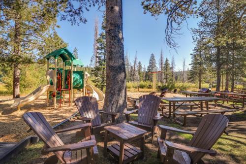 Pine Tree Paradise