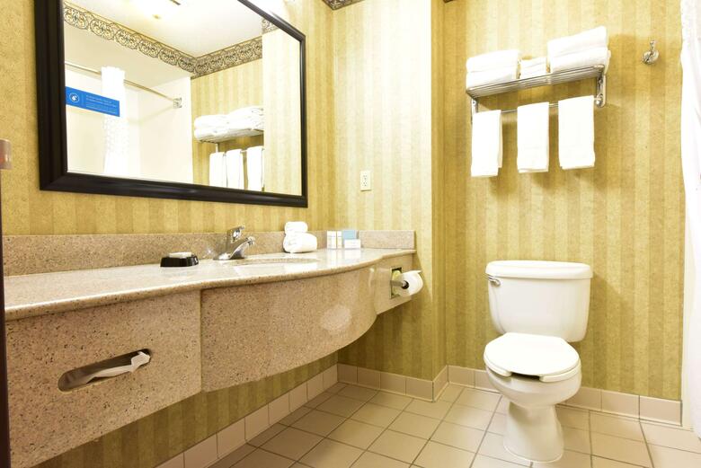 Hotel Hampton Inn & Suites Petoskey