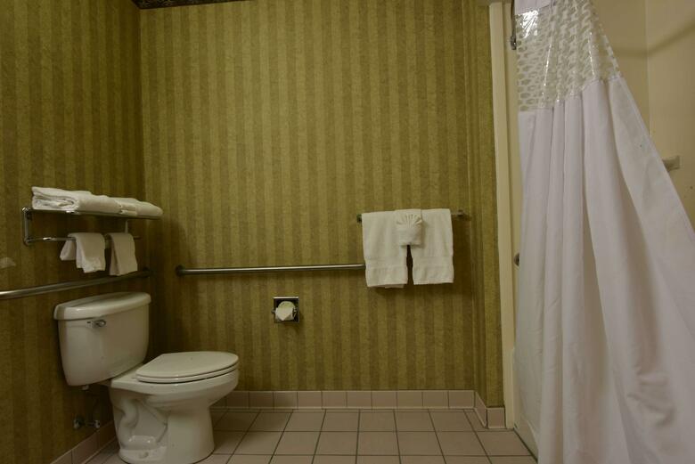 Hotel Hampton Inn & Suites Petoskey