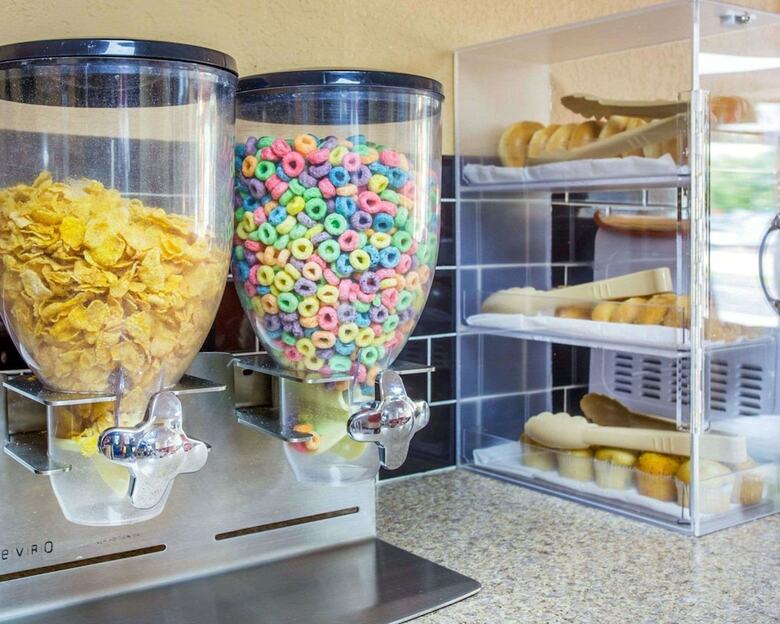 Hotel Stone Mountain Inn & Suites