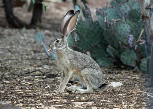 Azure Gate Bed And Breakfast
