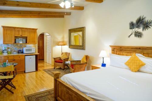 Hotel Blue Iguana Inn