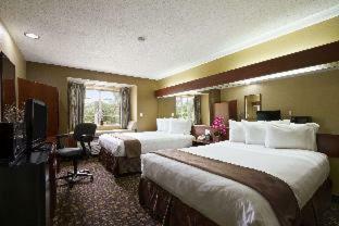 Hotel Microtel Inn & Suites By Wyndham Lithonia/stone Mountain