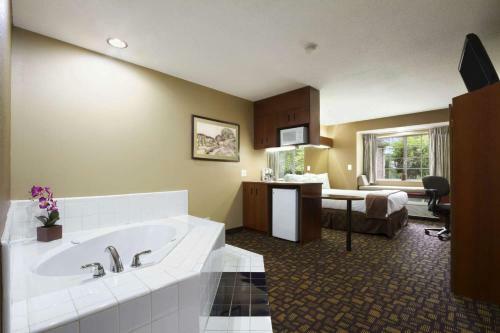 Hotel Microtel Inn & Suites By Wyndham Lithonia/stone Mountain
