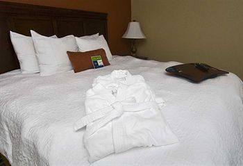 Hotel Hampton Inn Atl-lawrenceville-i-85-sugarloaf