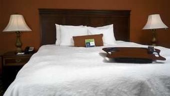 Hotel Hampton Inn Atl-lawrenceville-i-85-sugarloaf