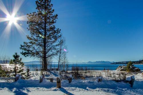 Peaceful Pines