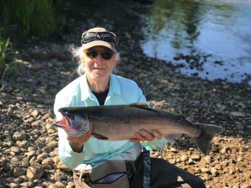 Talkeetna Villas And Tours