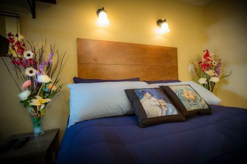Talkeetna Villas And Tours