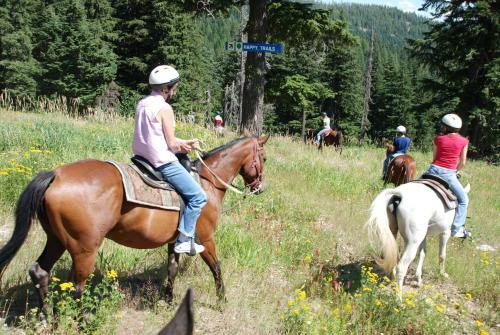 Hotel Schweitzer Mountain Resort White Pine Lodge