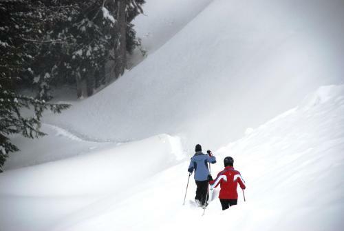 Hotel Schweitzer Mountain Resort White Pine Lodge