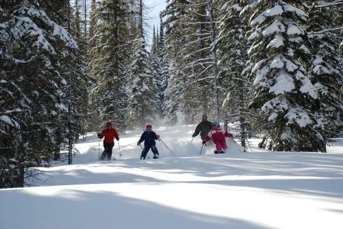 Hotel Schweitzer Mountain Resort White Pine Lodge