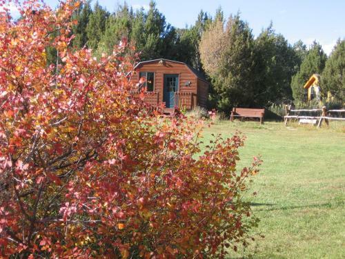 Abajo Haven Guest Cabins