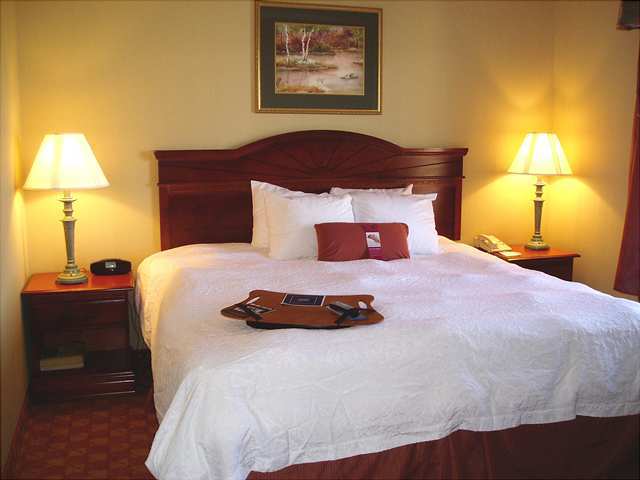 Hotel Hampton Inn Elkton