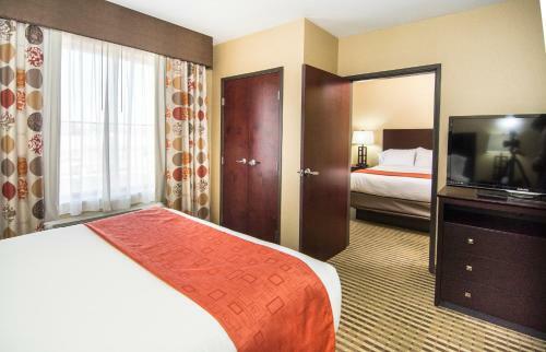 Hotel Holiday Inn Express & Suites Elkton - University Area