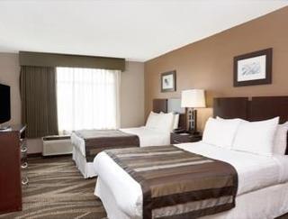 Hotel Wingate By Wyndham Raleigh Durham / Airport