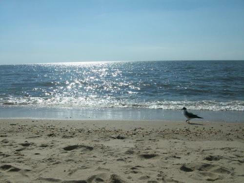 Motel Boardwalk Beach Inn
