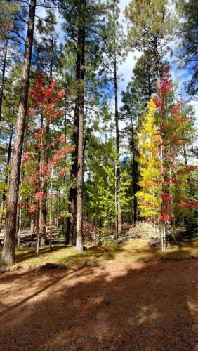 Lodge Whispering Pines Resort