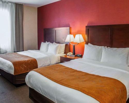 Hotel Comfort Suites Fishers/indianapolis Northeast
