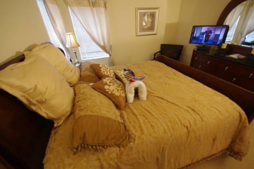 Loyalty Vacation Homes - Kissimmee