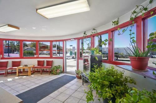 Bienvenido Motel