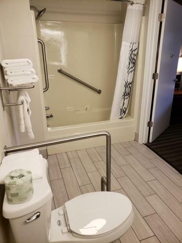 Hotel Best Western Executive Inn Dickson