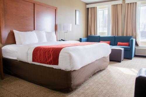 Motel Comfort Inn Dickson