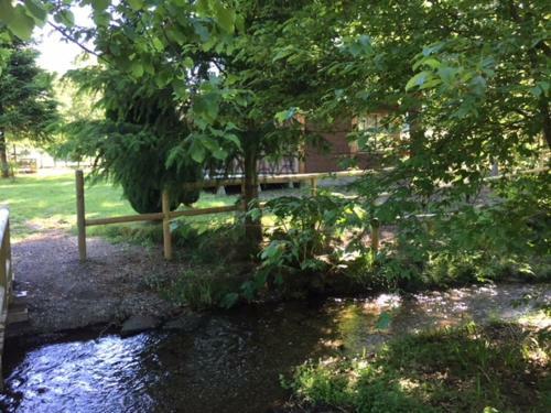 Lodge Caba�as Pichares