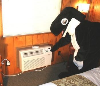 Motel The Orca Inn