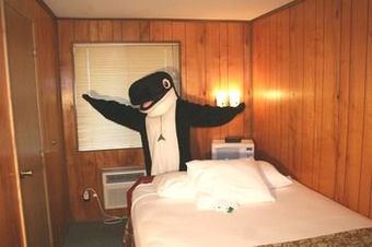 Motel The Orca Inn