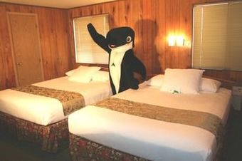 Motel The Orca Inn