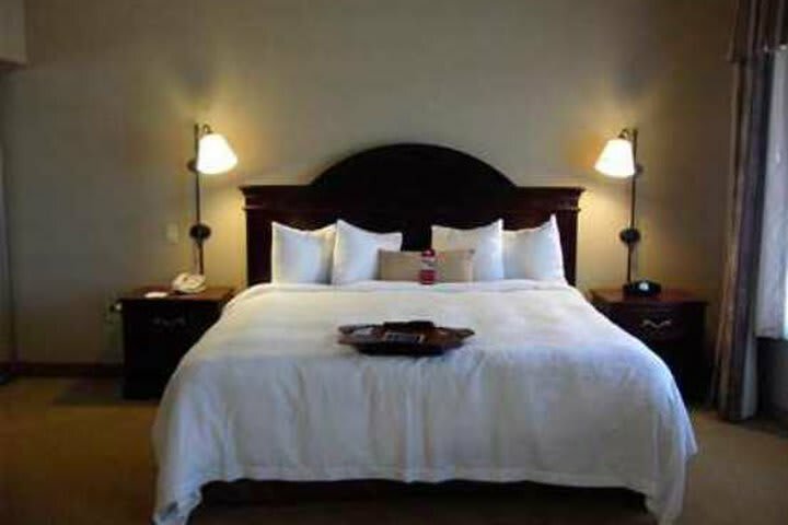Hotel Hampton Inn & Suites Boise-meridian