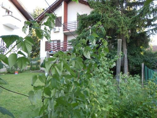 Hostal Guest House Vila Biljana