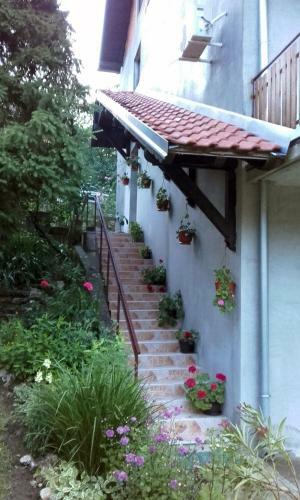 Hostal Guest House Jelena