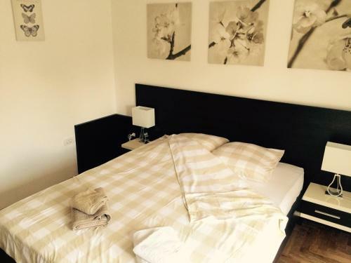 Park Srce Apartments