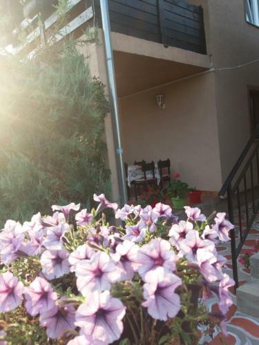 Apartmani "helena"