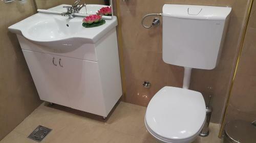 Hostal Akva Gold Guest House