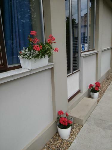 Hostal Autentik - Ba?ki Petrovac