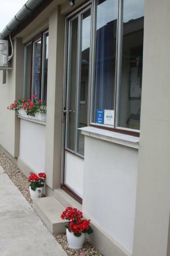 Hostal Autentik - Ba?ki Petrovac