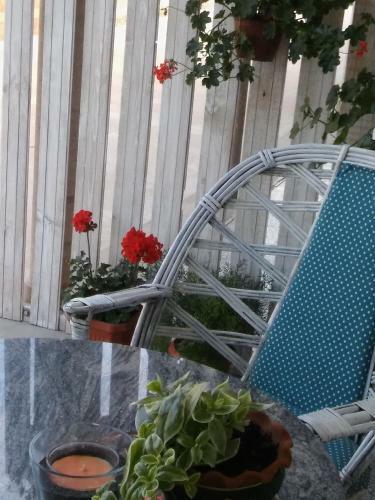 Hostal Autentik - Ba?ki Petrovac