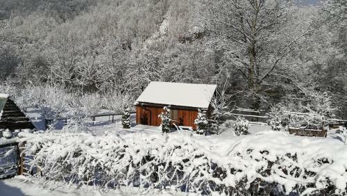 River Drina Small House