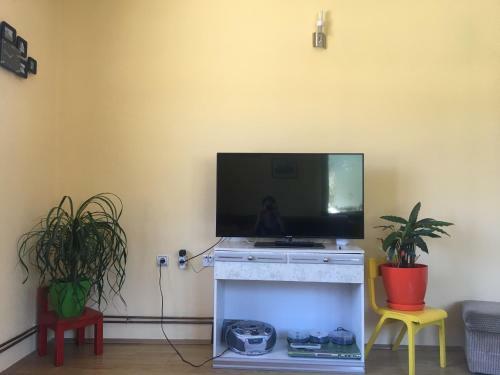 Apartamento Zvezdica