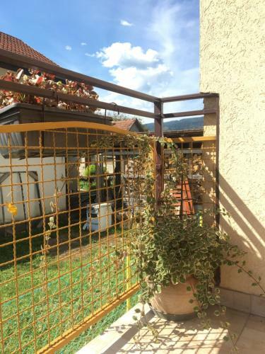 Apartamento Zvezdica