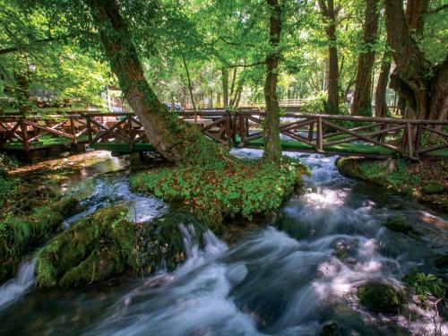 Garni Hotel Vila Drina