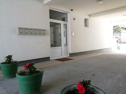 Apartman Popovic