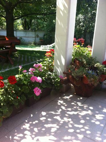 Villa Vila Tara