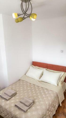 Apartment Platan