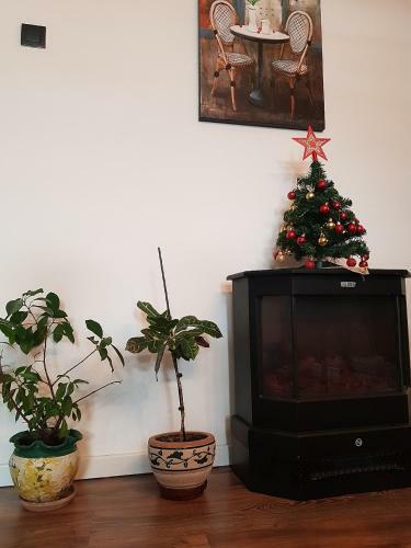Apartment Danubius