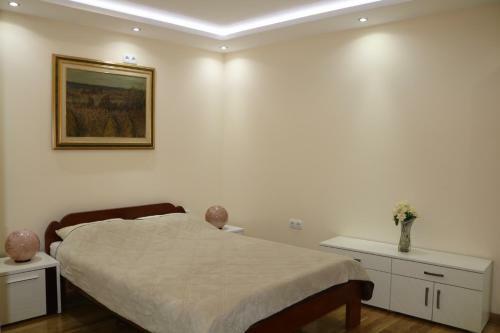 Apartment Dositejeva