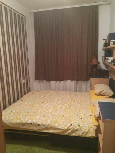 Apartman Jevrejska